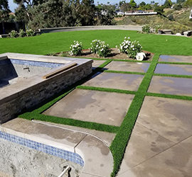 Welcome to Our New Website