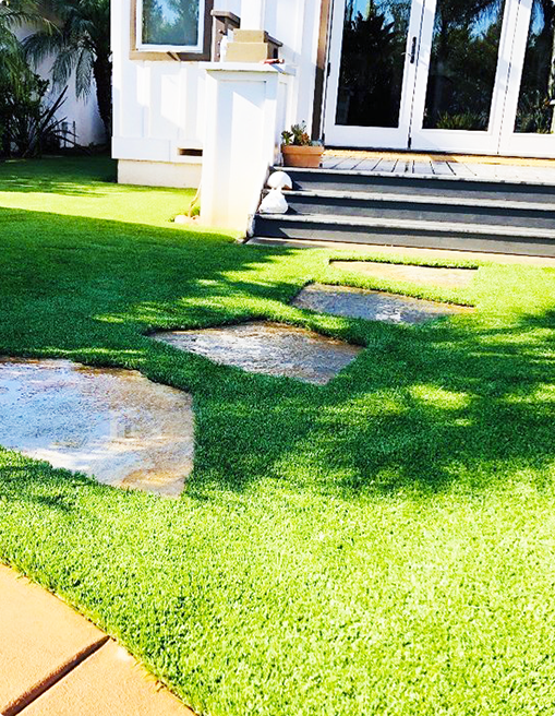 Eco Friendly and Low Maintenance